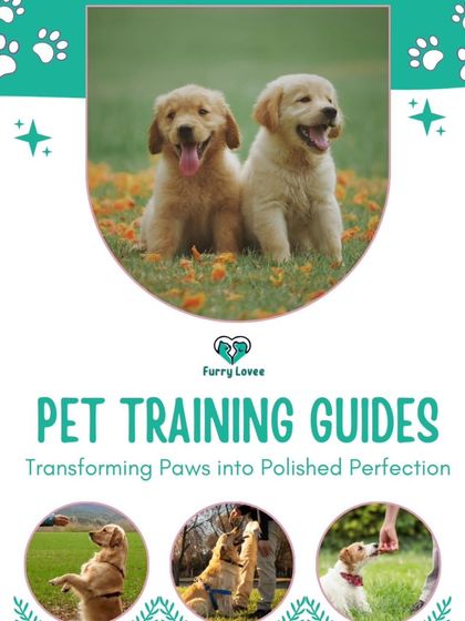 My pet training guides are designed to transform your dog into a polished, well-behaved companion. This image shows the happy results of consistent, positive training that starts at home.