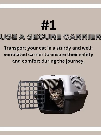 Cat Relocation Tip: Always use a sturdy, well-ventilated, and secure carrier. This is the most important element for your cat's safety and comfort.