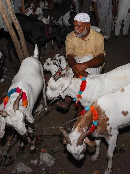 A man sits peacefully with his goats at the Bakra Mandi, a quiet moment of contemplation before the Eid al-Adha festival.