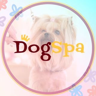 DogSpa