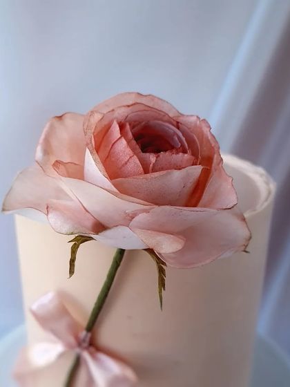 Cakenest - Online Baking & Business School Elegant Floral & Modern Designs photo 22