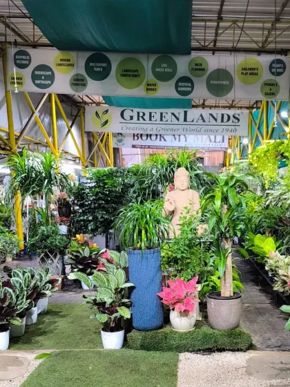 A glimpse into our retail garden centre at Inorbit Mall, Malad. We offer a vast selection of indoor and outdoor plants, unique planters, and everything a plant enthusiast needs to create their own green space.