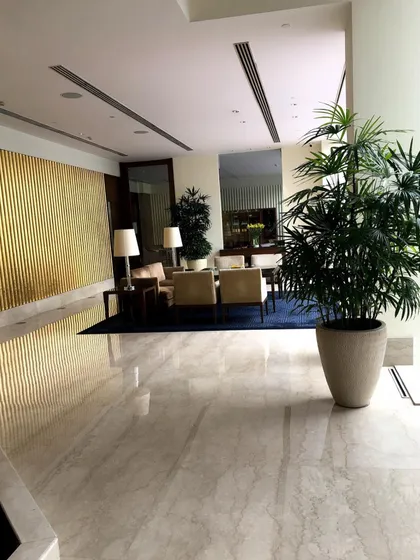 A Lady Palm in a large planter adds a touch of sophisticated green to this modern hotel lobby. It's an excellent choice for indoor spaces with bright, indirect light.