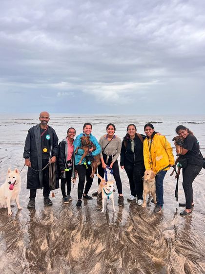Rain or shine, the pack shows up! This was a slightly overcast day, but it didn't dampen anyone's spirits. The dogs had a blast playing on the wet sand.