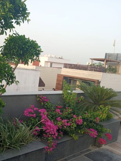 Cascading bougainvillea plants add a splash of vibrant pink color to this built-in grey granite planter, softened by a bed of white pebbles.