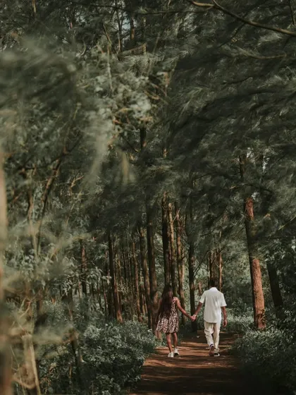 A couple walks hand-in-hand down a path through a dense, beautiful forest. This shot symbolizes their journey together, surrounded by the tranquility of nature.