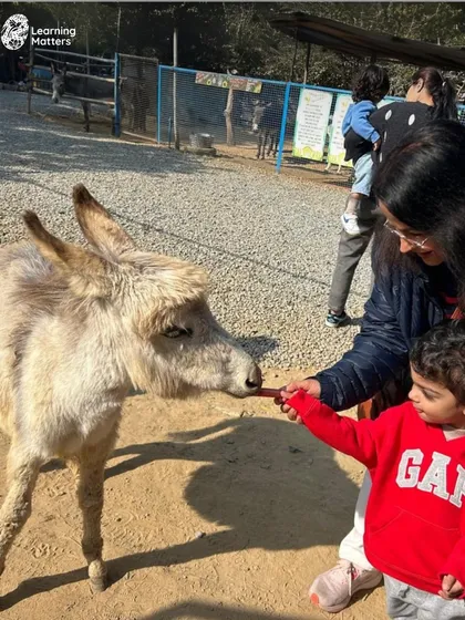 On a field trip to a local farm, children get to interact with animals up close. Feeding a goat, watching ducks, and petting a donkey teaches empathy, respect for living things, and overcomes apprehension.
