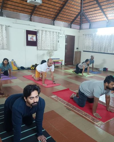 Hatha Yoga Sessions