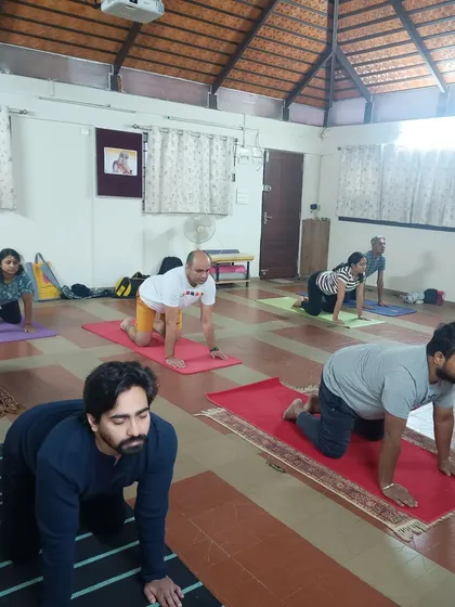 A class engaged in preparatory postures for a deeper practice. Proper warm-ups and sequencing are crucial for preparing the body and preventing injury, which is a core part of my teaching methodology.