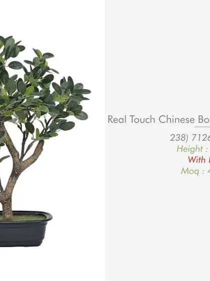 A "Real Touch" Chinese Boxwood artificial plant, valued for its realistic texture and simple, elegant form.