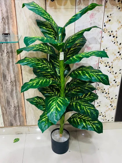 This large artificial Dieffenbachia plant features broad leaves with distinctive yellow and green patterns.