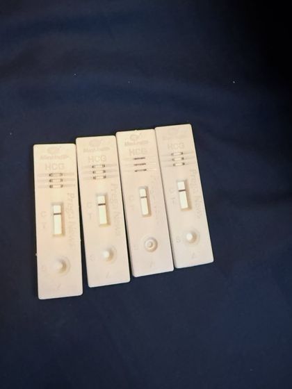 Ankita B Chandak - Early Childhood Parenting Coach My Journey Through Pregnancy & the Fourth Trimester photo 27