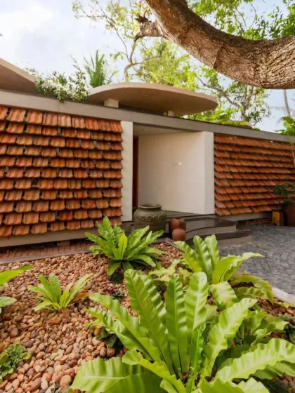 This unique design uses terracotta roof tiles as a textured wall facade, complemented by ferns and ground cover. The hardscaping and planting choices create a rustic, earthy feel for this home's entrance.