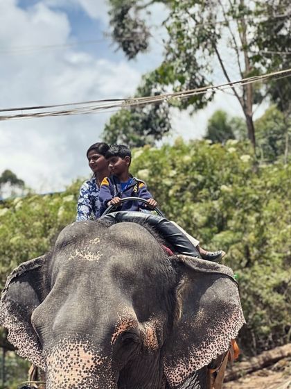 A close-up of the elephant ride, a popular activity for families and kids visiting Munnar.
