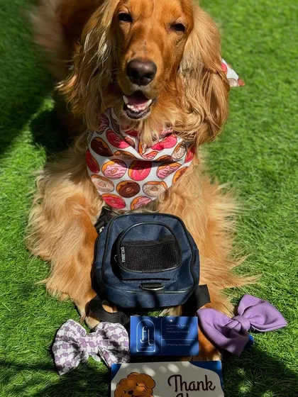 Our latest haul from Furry Tags: a cute backpack, stylish bows, and a donut-themed bandana.