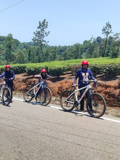 Three participants on their mountain bikes, taking a break on a paved road amidst the tea estates.
