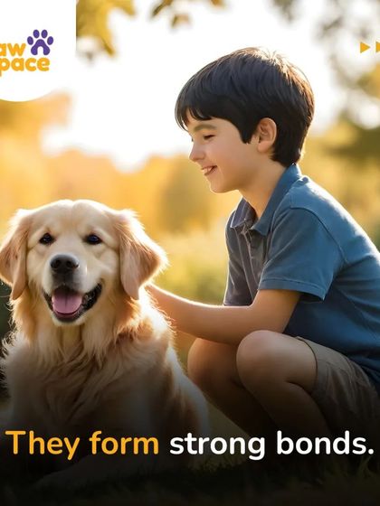 PawSpace - Pet Training The Human-Pet Connection photo 5