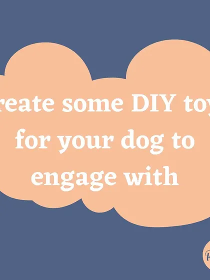 Get creative and make some DIY toys for your dog to engage with. A rainy day is perfect for a fun crafting and play session.