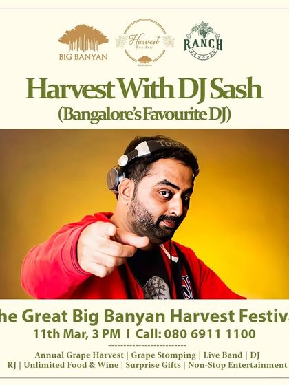 A unique event, the 'Great Big Banyan Harvest Festival', where I played at a vineyard during a grape stomping festival.