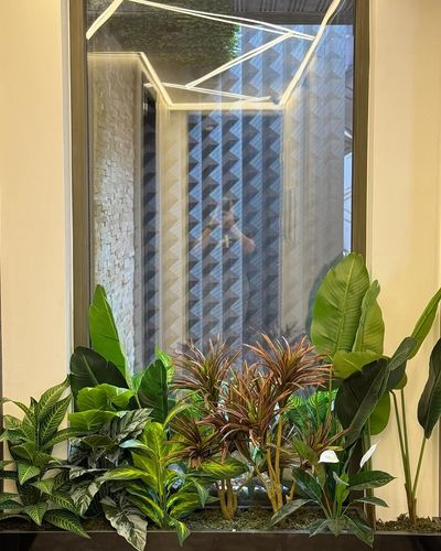 Indoor Plant Solutions