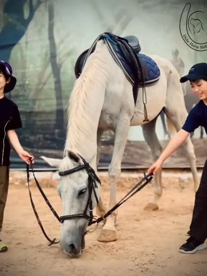 Two young boys learn to hold and lead a horse, an important first step in horsemanship.