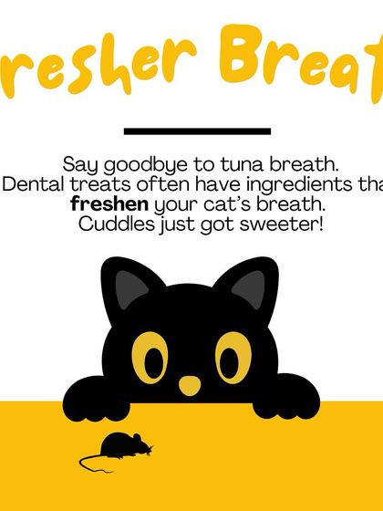 Oh My Dawg - Pet Supplies Grooming & Hygiene photo 7