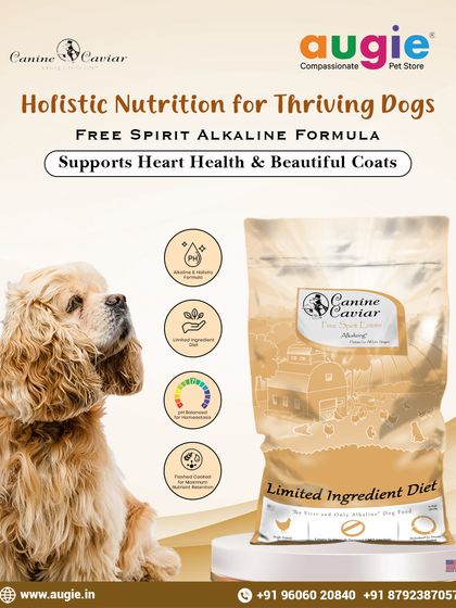 Augie Pets - Pet Supplies Fuel for Happy Hounds: Wholesome Dog Nutrition photo 17