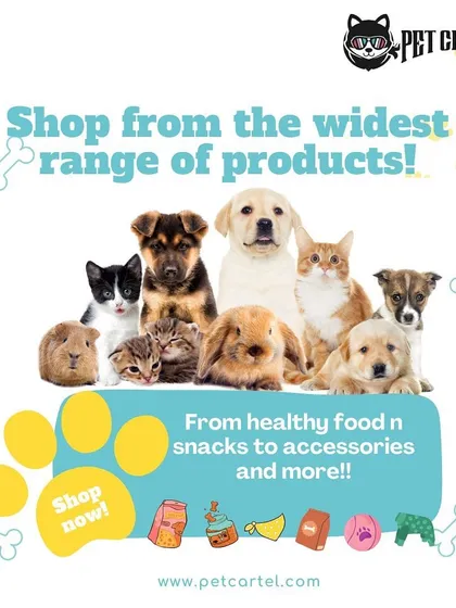 We're a one-stop shop for all kinds of pets. This image showcases the variety of furry, and not-so-furry, friends we cater to, including dogs, cats, rabbits, and guinea pigs. From food and snacks to toys, we have something for every member of your family.