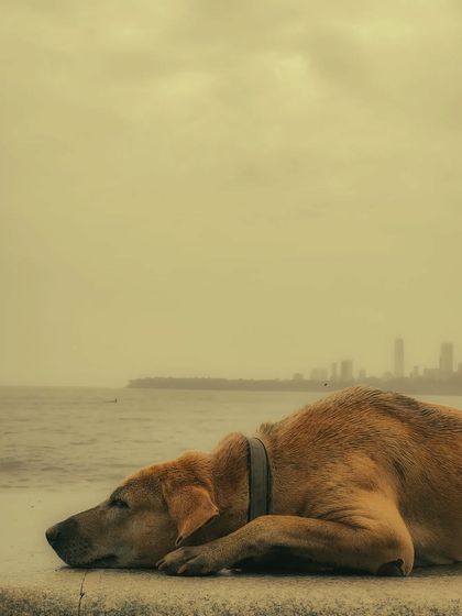 Architectural Frames & Minimalism photo 15