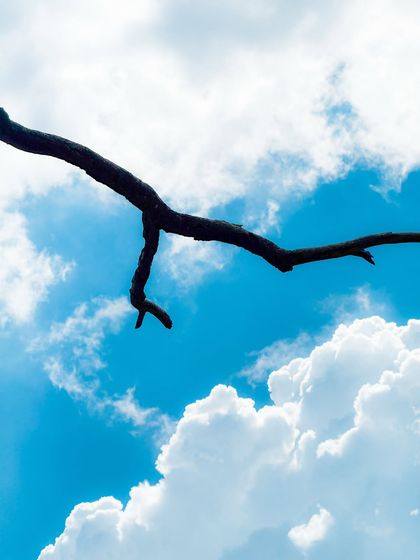 Garima Bhaskar - Photography Services Shot on iPhone photo 15