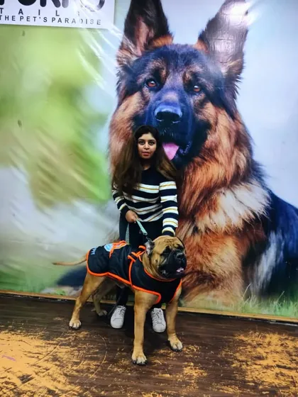 A happy customer and their stylish Bullmastiff, Lucifer, showing off a new, durable dog coat purchased from our Noida store. We offer a range of pet apparel to keep your companion comfortable in any weather.