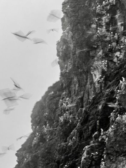 Duplicate of image 72.