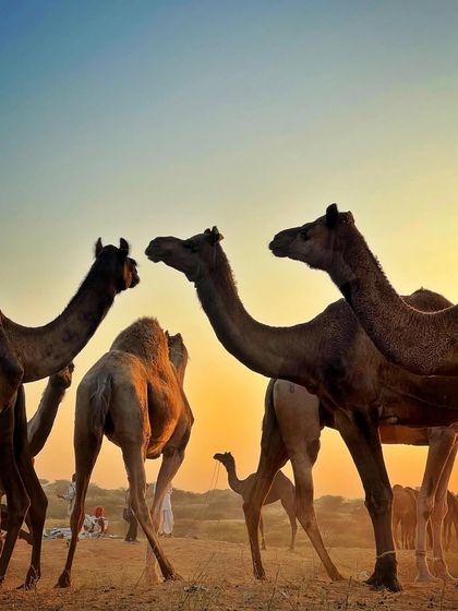 Beyond Mumbai: Cultural Explorations photo 8