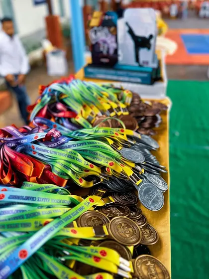 Achievement is a tangible result of dedicated training. This collection of medals and trophies from various championships represents the success my students have earned in both kata and kumite competitions.