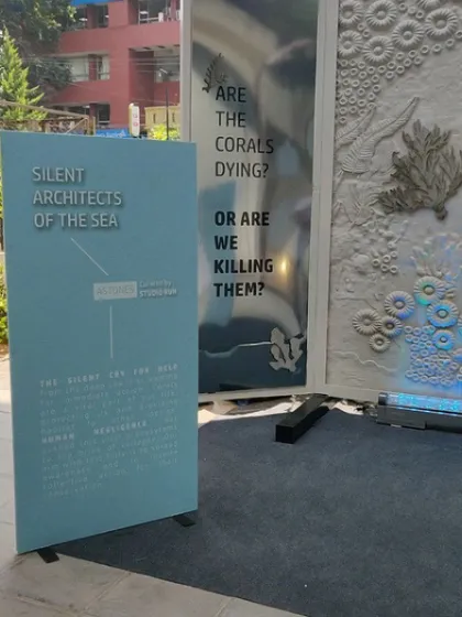 The complete installation at Designuru, with its accompanying informational panel. We believe in providing context for our art. The panel explained the science behind coral bleaching and posed a direct question to the viewer, making the experience both artistic and educational.