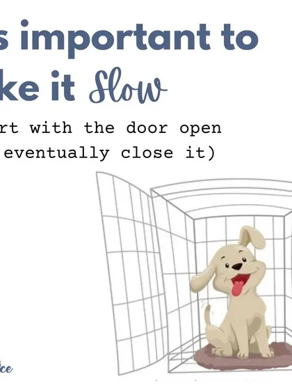 It's important to take crate training slowly. Start with the door open, and only begin closing it for short periods once your puppy is completely comfortable inside.