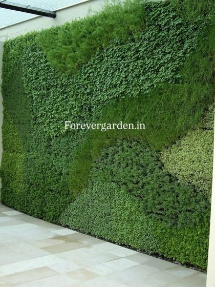 Vertical Green Walls photo 8