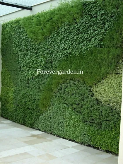 This exterior vertical garden uses different textures and shades of green to create a natural, patchwork-like effect on the building's facade.
