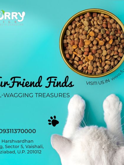 We have tail-wagging treasures for our feline friends too. This image shows a bowl of high-quality cat kibble, representing our selection of nutritious and flavorful food options for cats.