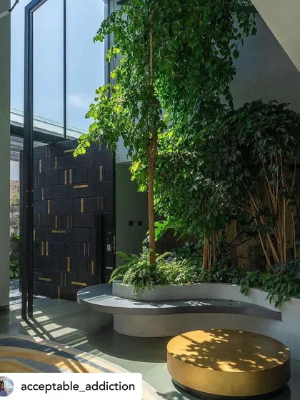 A view of an indoor courtyard, where a large tree is illuminated by natural light from a skylight. The design features a custom door with brass inlays and a comfortable seating area, blending luxury with nature.