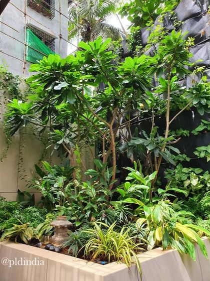 Ground-Level Gardens & Courtyards photo 12