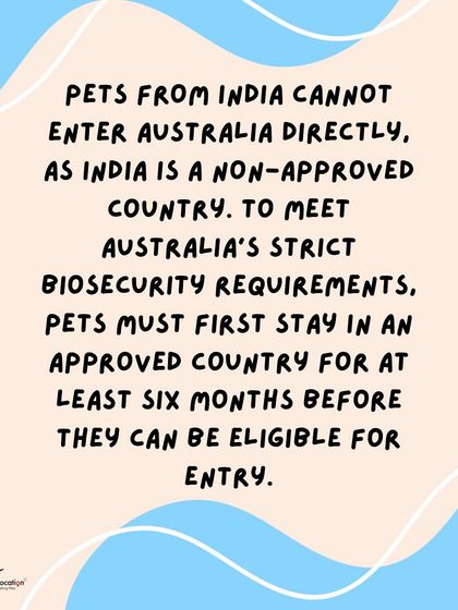 Anvis - Pet Relocation Preparing for Travel: Health, Safety & Documentation photo 9