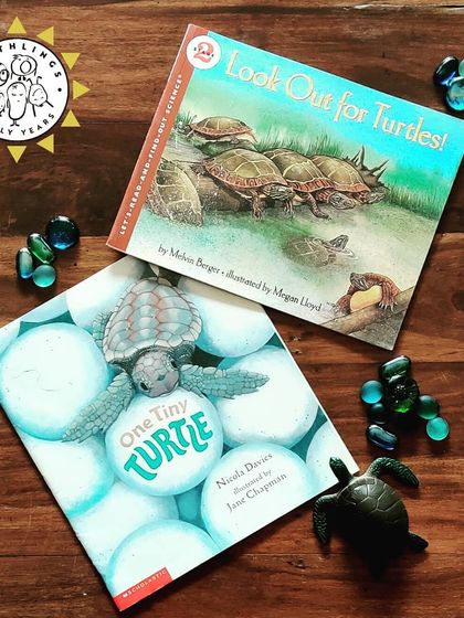 Earthlings Early Years - Preschool & Daycare Storytelling & Raising Readers photo 4