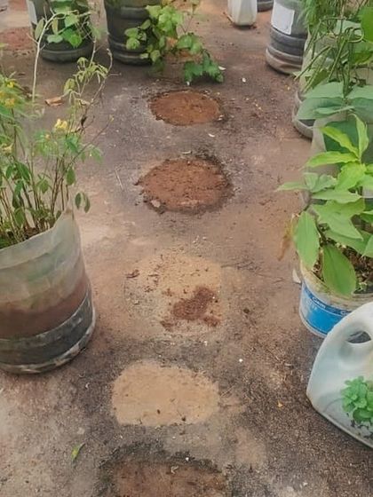 The Garden Hub - Garden Maintenance Garden Stands & Terrace Protection photo 17