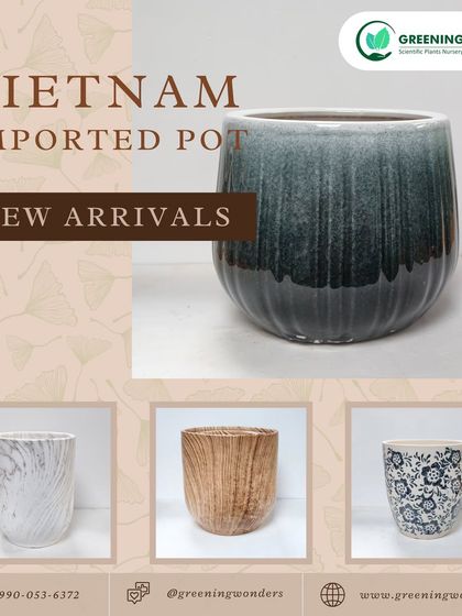 Greening Wonders - Garden Center & Plant Nursery Decorative & Premium Pots photo 7