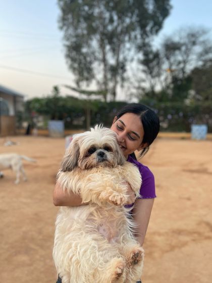 A guest happily holds up a fluffy Shih Tzu for a cuddle in the middle of our play area.