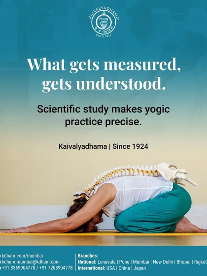 Our approach is grounded in scientific understanding. We study practices like asana and pranayama to understand their precise effects on the body, ensuring that our teaching is safe, effective, and based on observation, not just assumption.