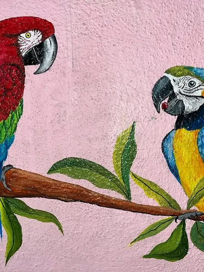 A full view of the parrot mural, painted on a pink wall to make the bright colours of the birds stand out.