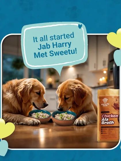 This Valentine's Day, it's a love story for the ages: Jab Harry Met Sweetu over a bowl of Chicken Ala Broth.