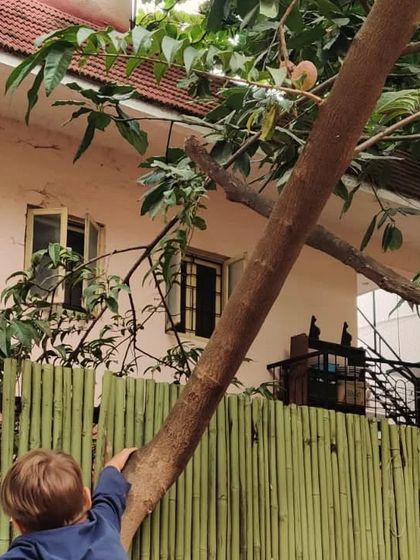 The Earth School - Nature & Community Engagement Programs Moments of Discovery photo 7